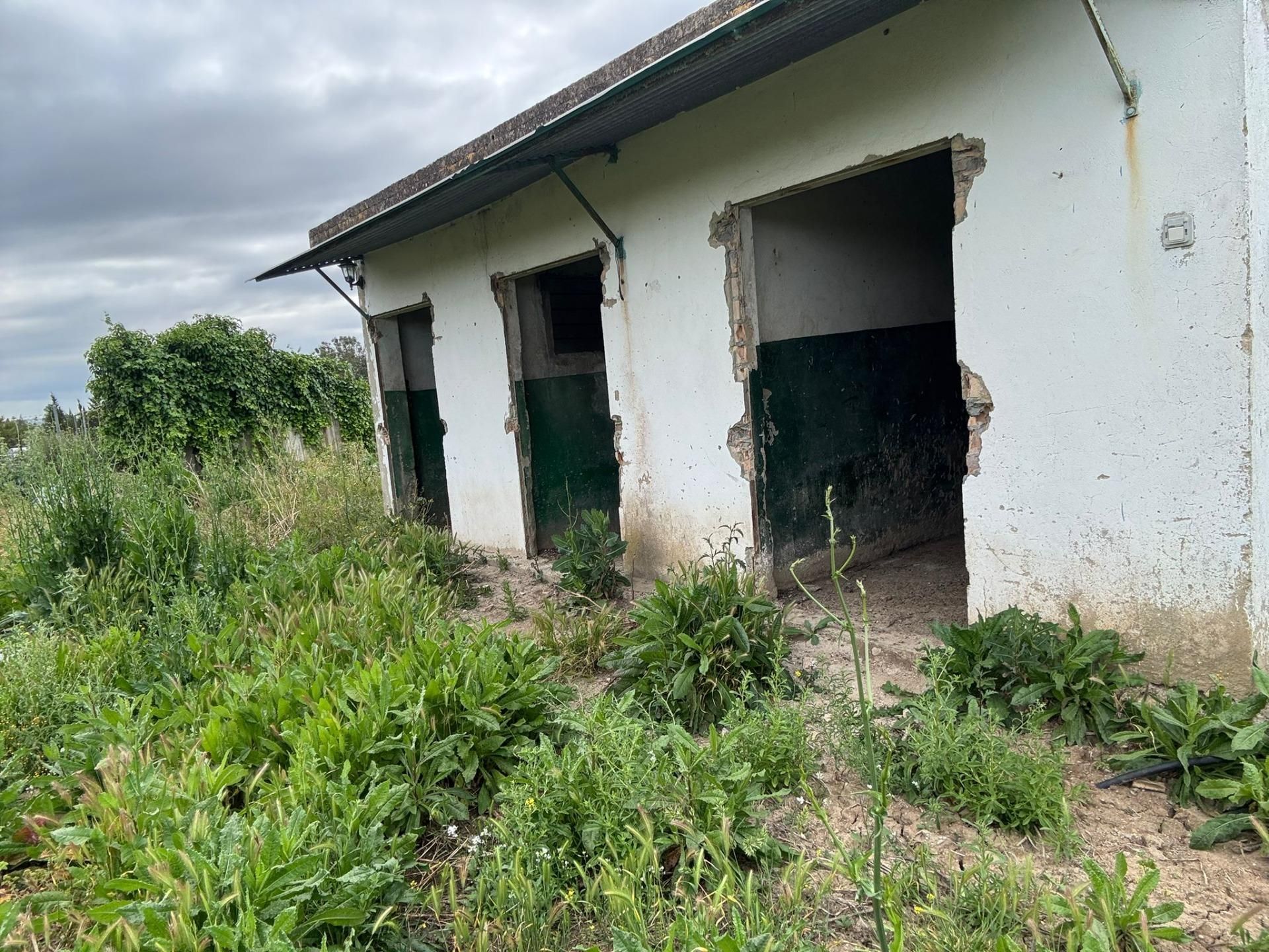 Exterior view of Residential for sale in Jerez de la Frontera