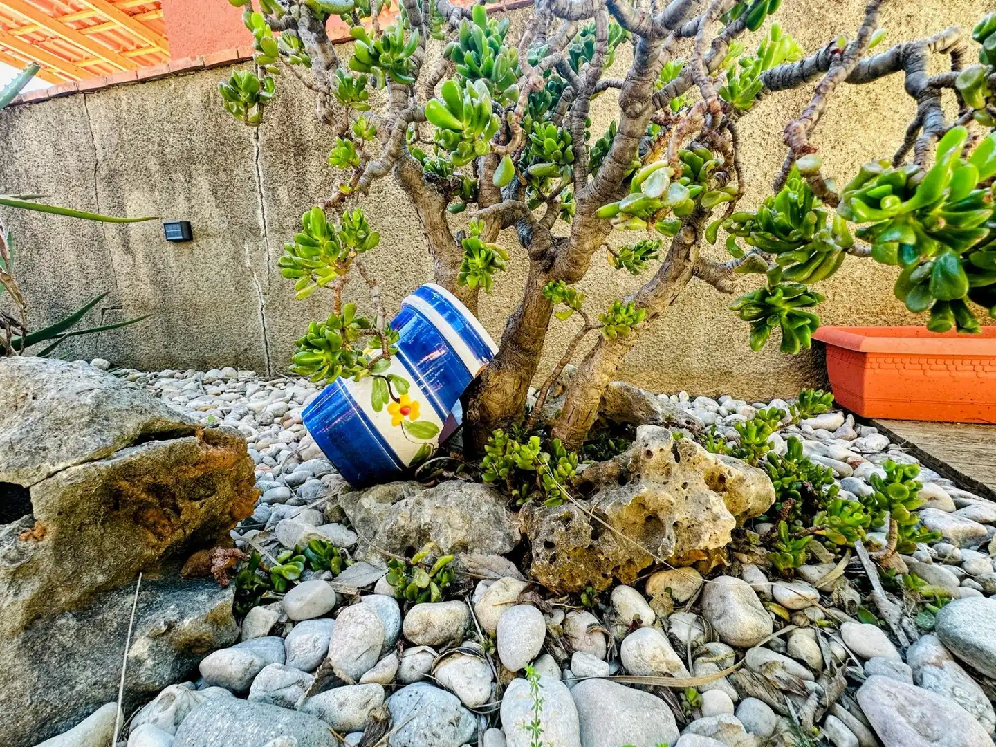 Jardín de Casa o chalet en venta en Ador con Aire acondicionado, Calefacción y Jardín privado