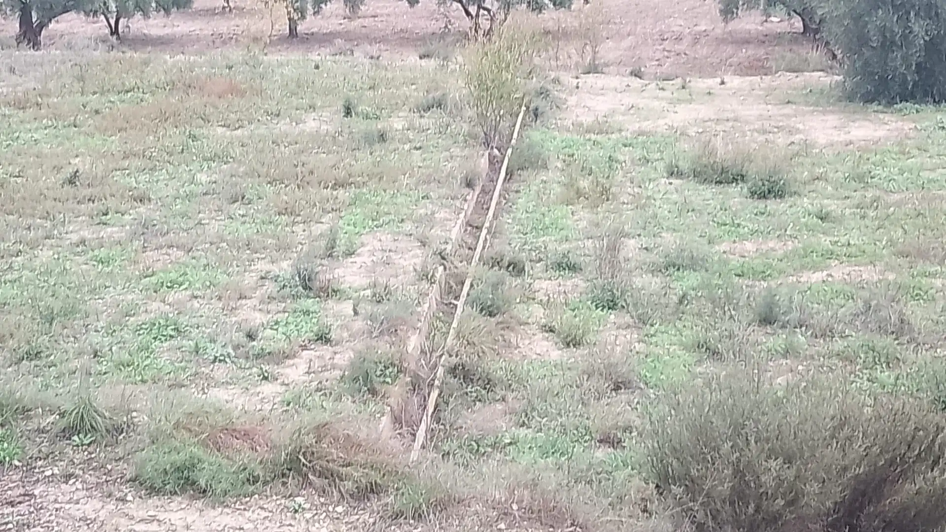 Residencial en venta en FINCA, Moratalla