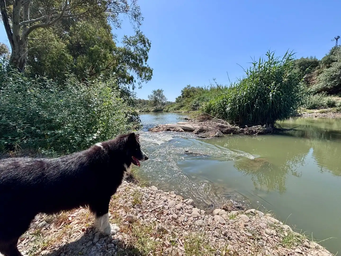 Außenansicht von Grundstücke zum Verkauf in Arcos de la Frontera