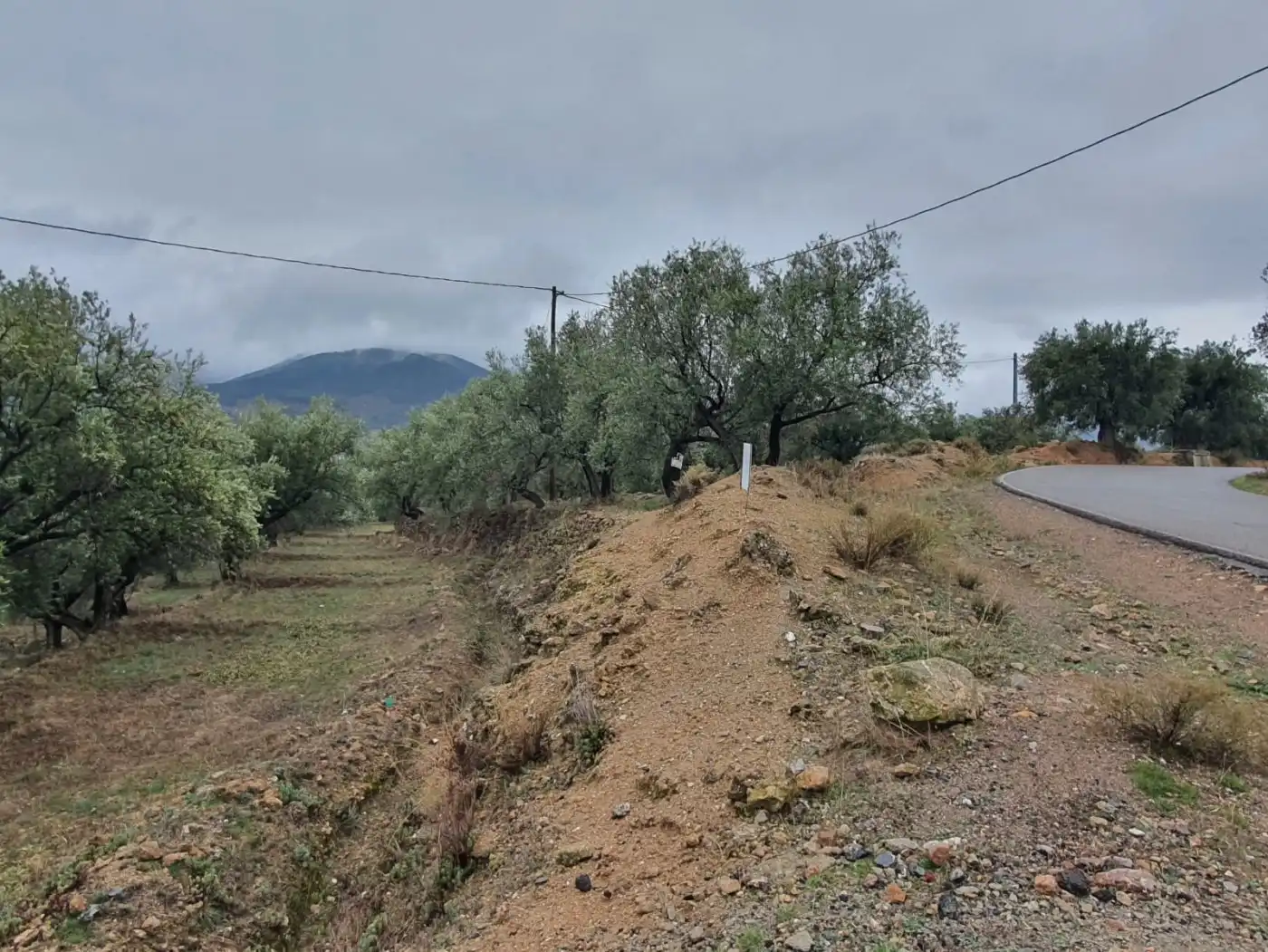 Casa rústica en venda a Fondón, imagen 10