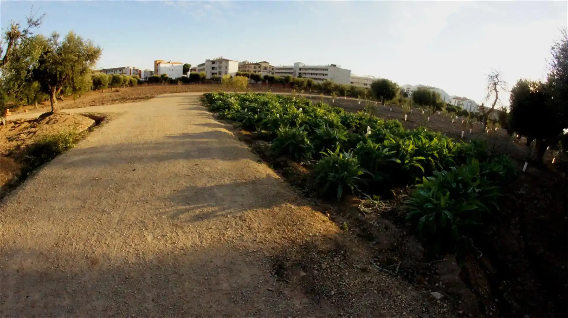 Land for sale in Cambrils