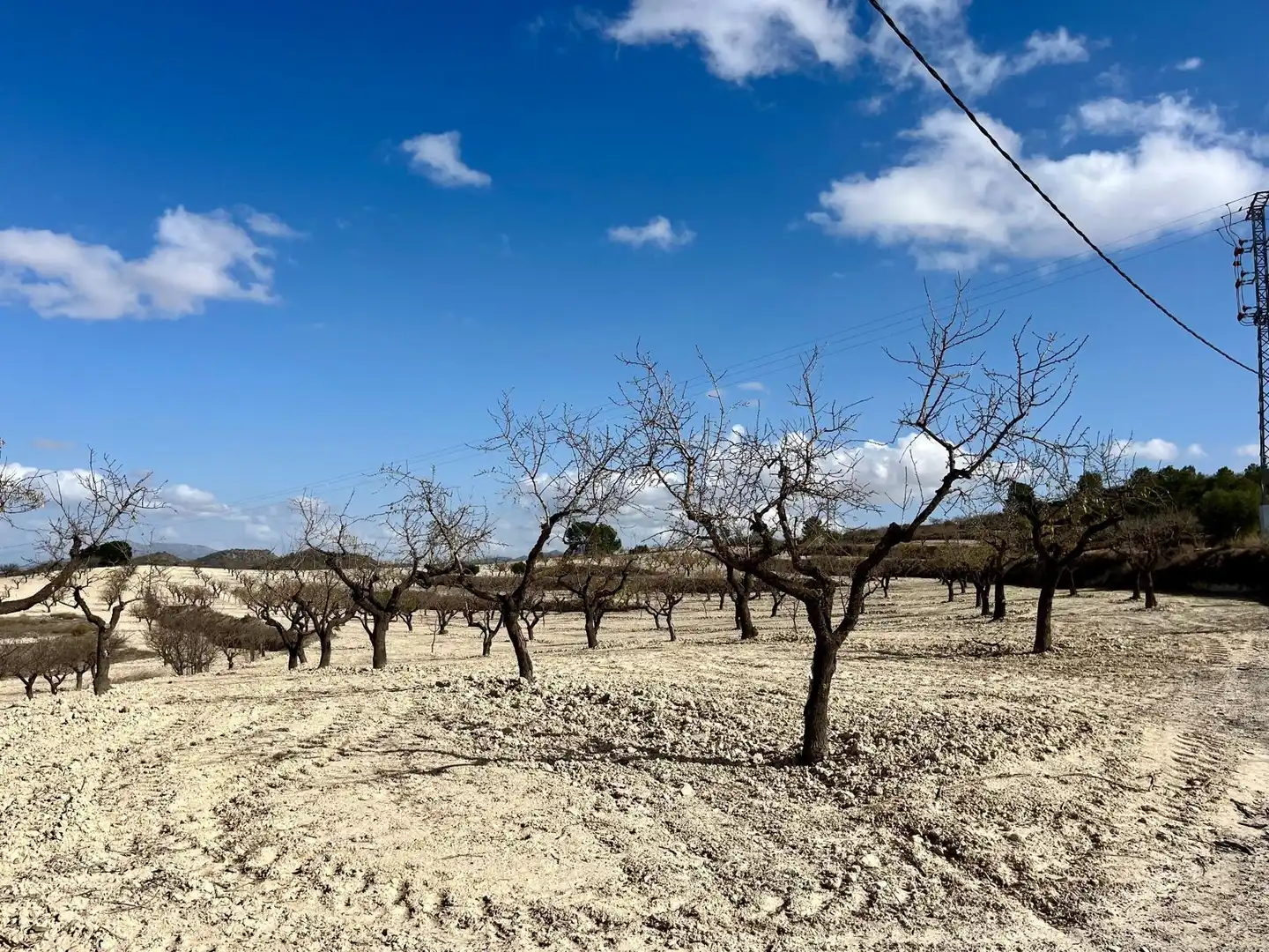 Lands and plots for sale in Bullas, imagen 23