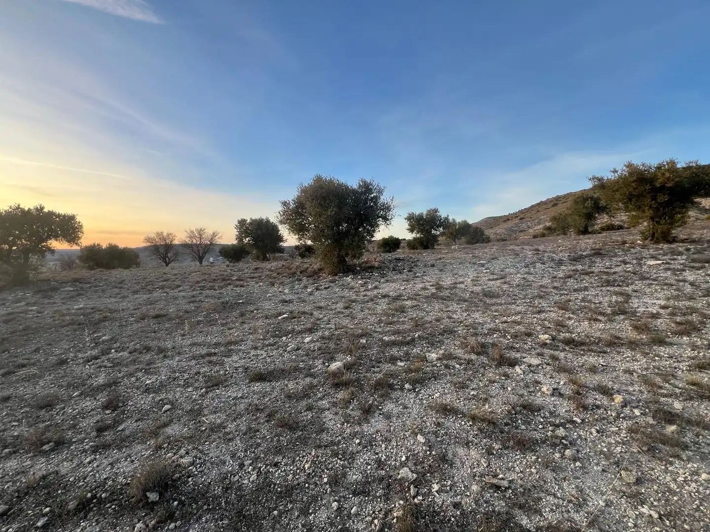 Rural land for sale in Polígono, imagen 7