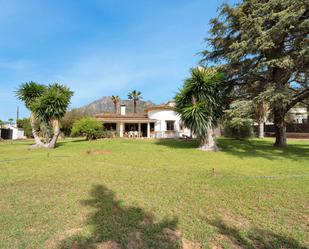 Garden of House or chalet for sale in Marbella  with Private garden