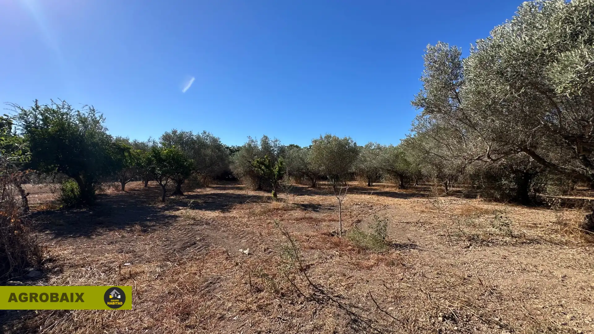 Rural land for sale in BV-2002 114, imagen 23