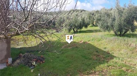 Foto 2 de Casa o chalet en venta en Campotéjar, Granada