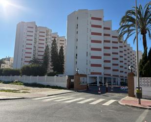 Vista exterior de Estudi en venda en Salobreña amb Jardí privat, Balcó i Piscina comunitària