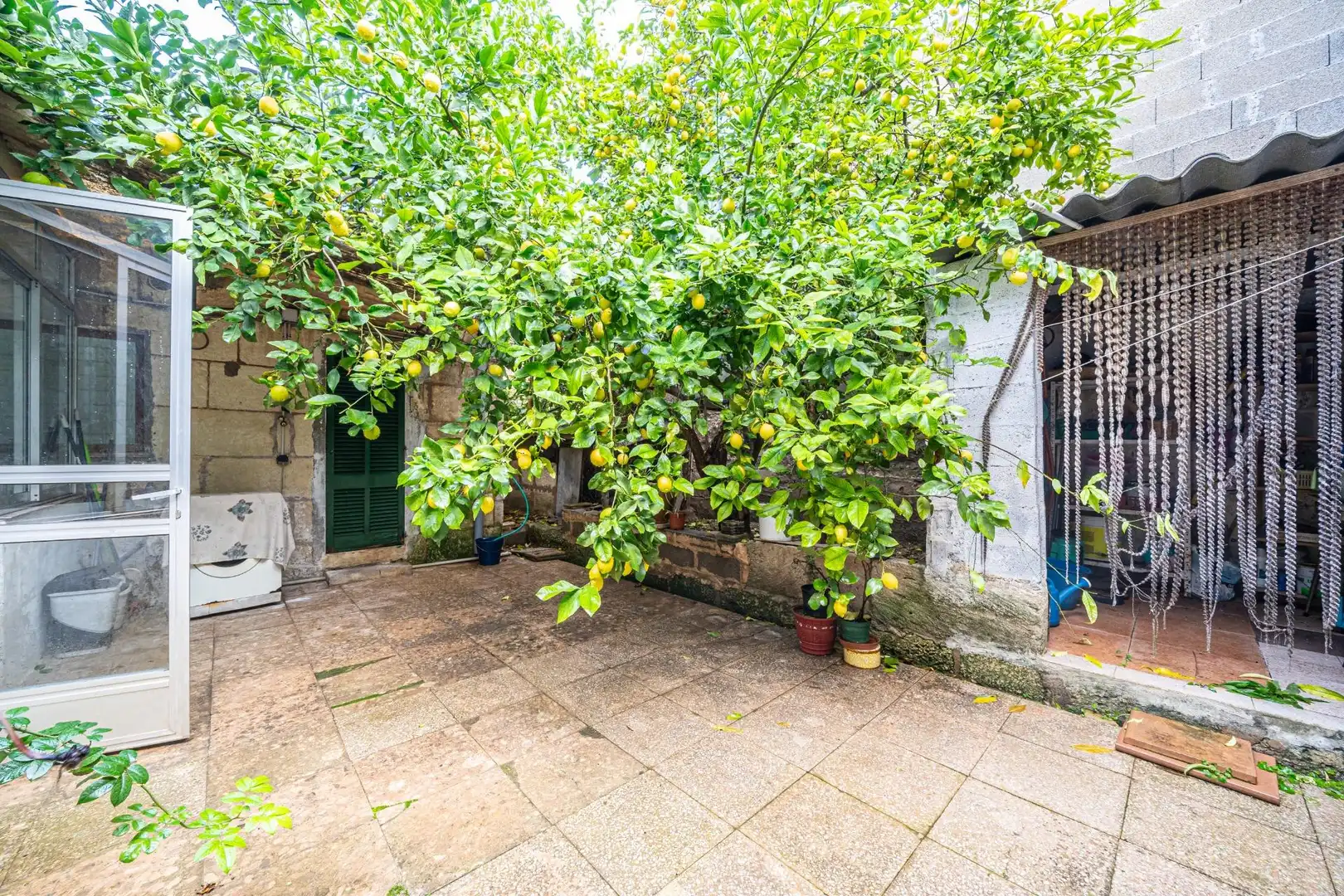 Garden of Houses for sale in Manacor