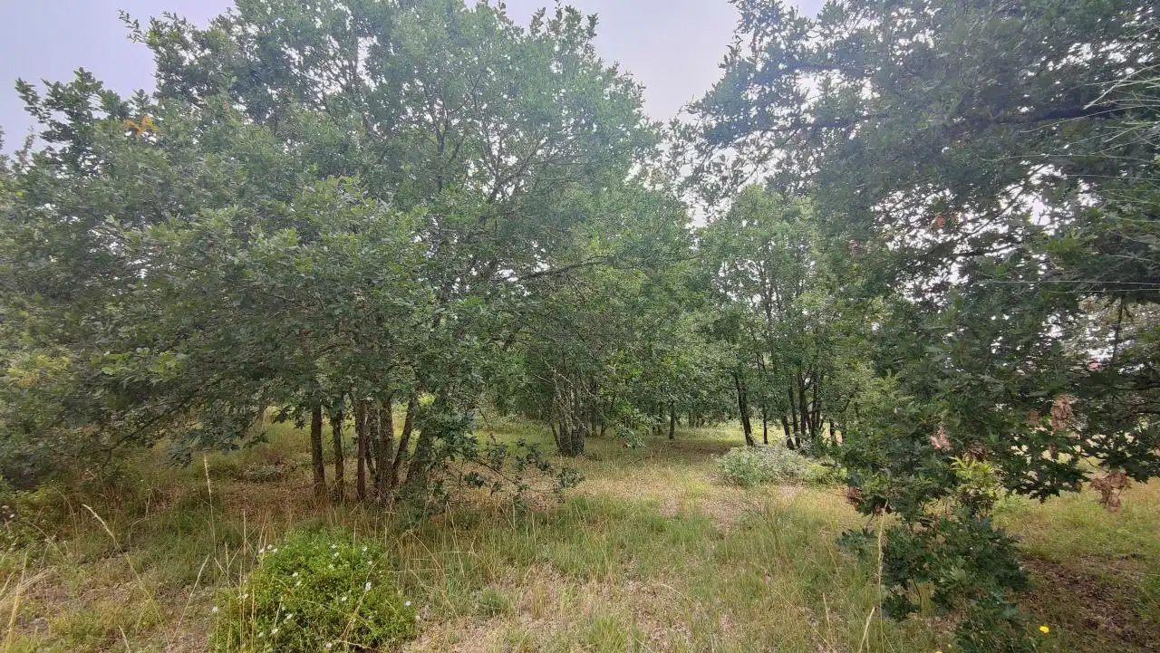 Terreny residencial en venda a San Cibrao das Viñas