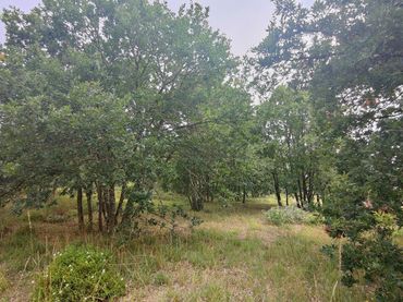 Terreno residenziale in vendita a San Cibrao das Viñas