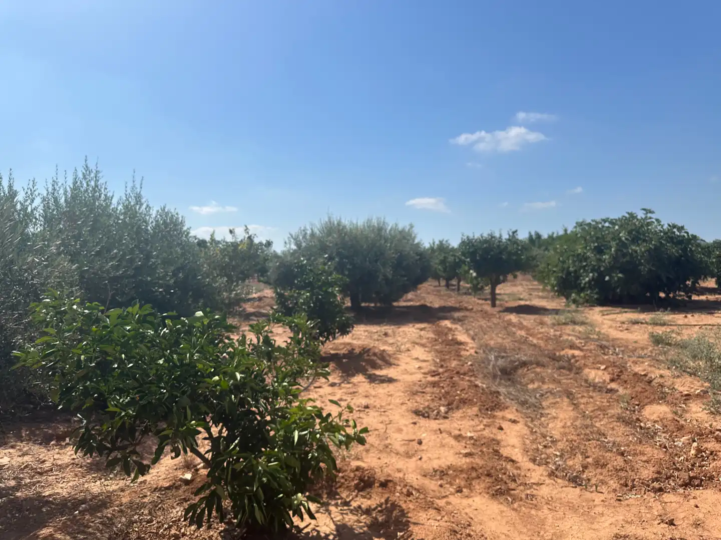 Country house for sale in Pasaje Los Segados, imagen 18