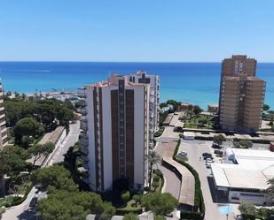 Study to rent in Campoamor