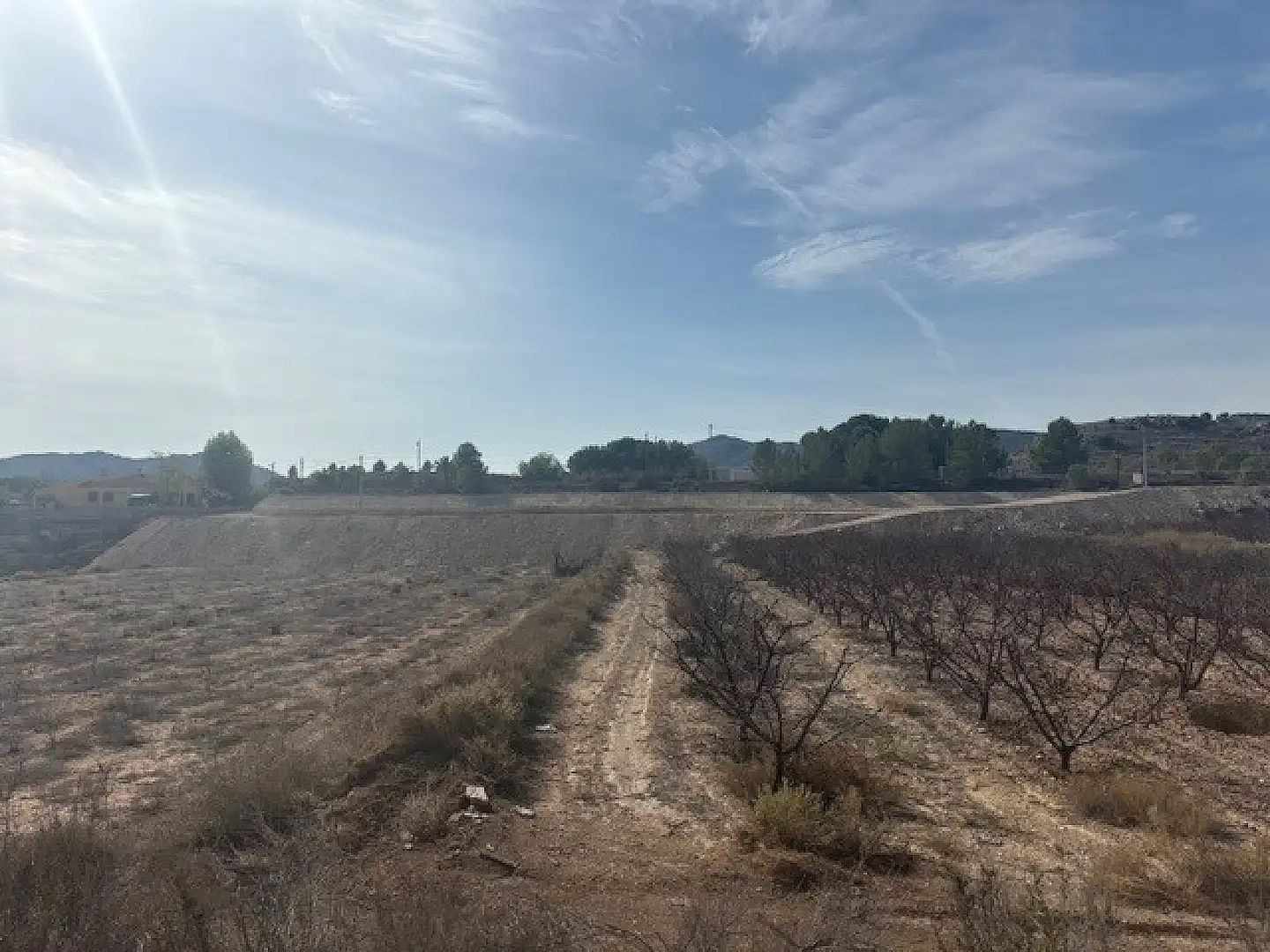 Residential land for sale in Monóvar  / Monòver, imagen 12