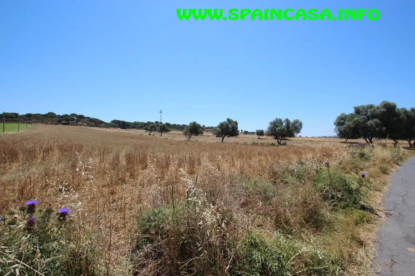 Terrenos y solares en venta en Núcleo urbano, imagen 3