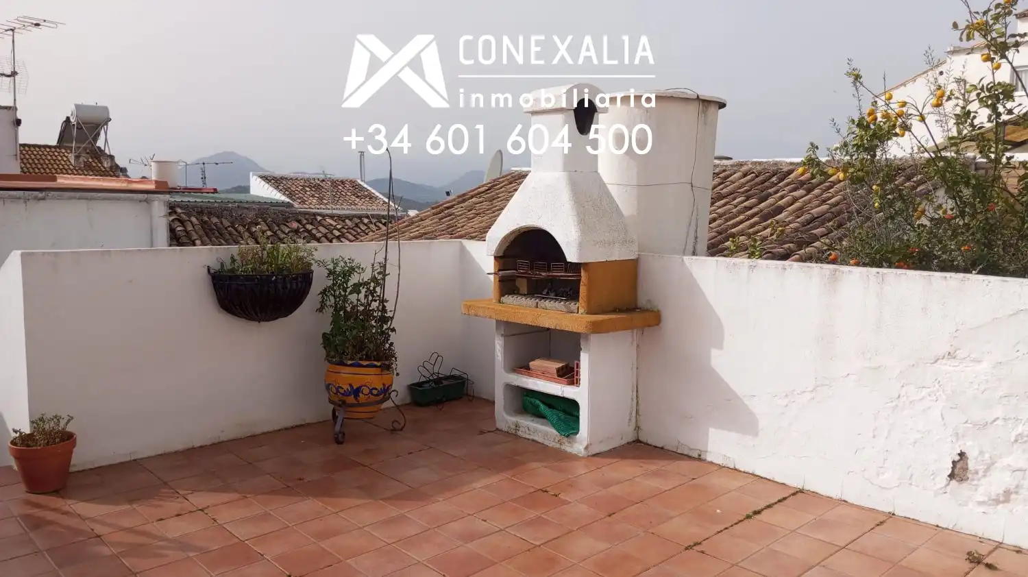 Terraza de Casa o chalet en venta en Olvera con Terraza
