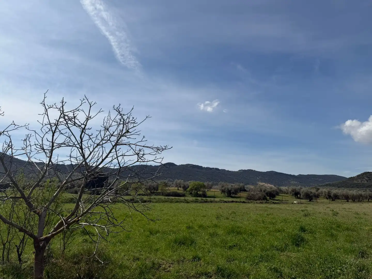 Grundstücke und Bauplätze zum Verkauf in Malagón