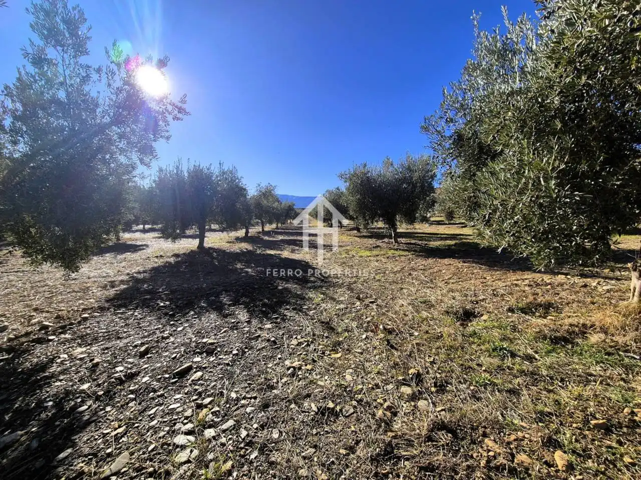Lands and plots for sale in Lanteira, imagen 6