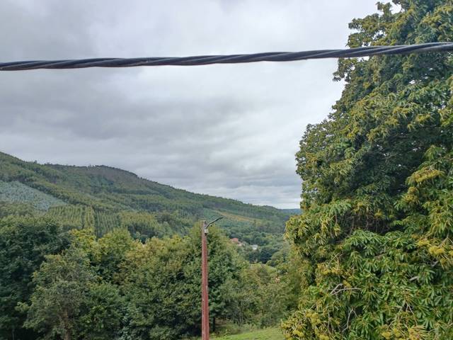 Terreno residencial en Venta en Lugar Trasanquelos en Cesuras