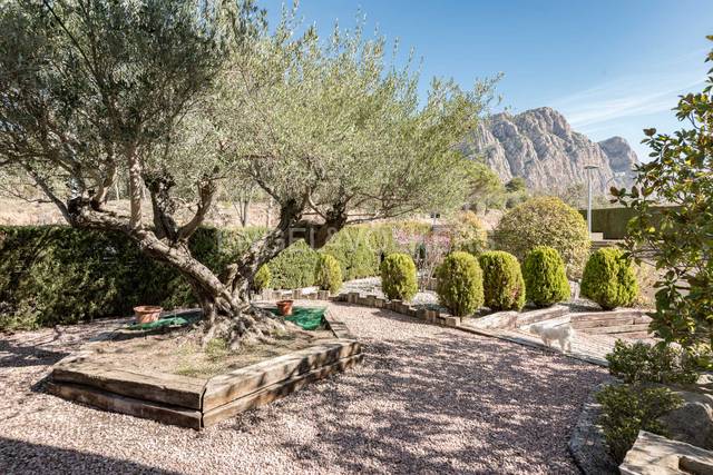 Casa-chalet en Venta en Collbató