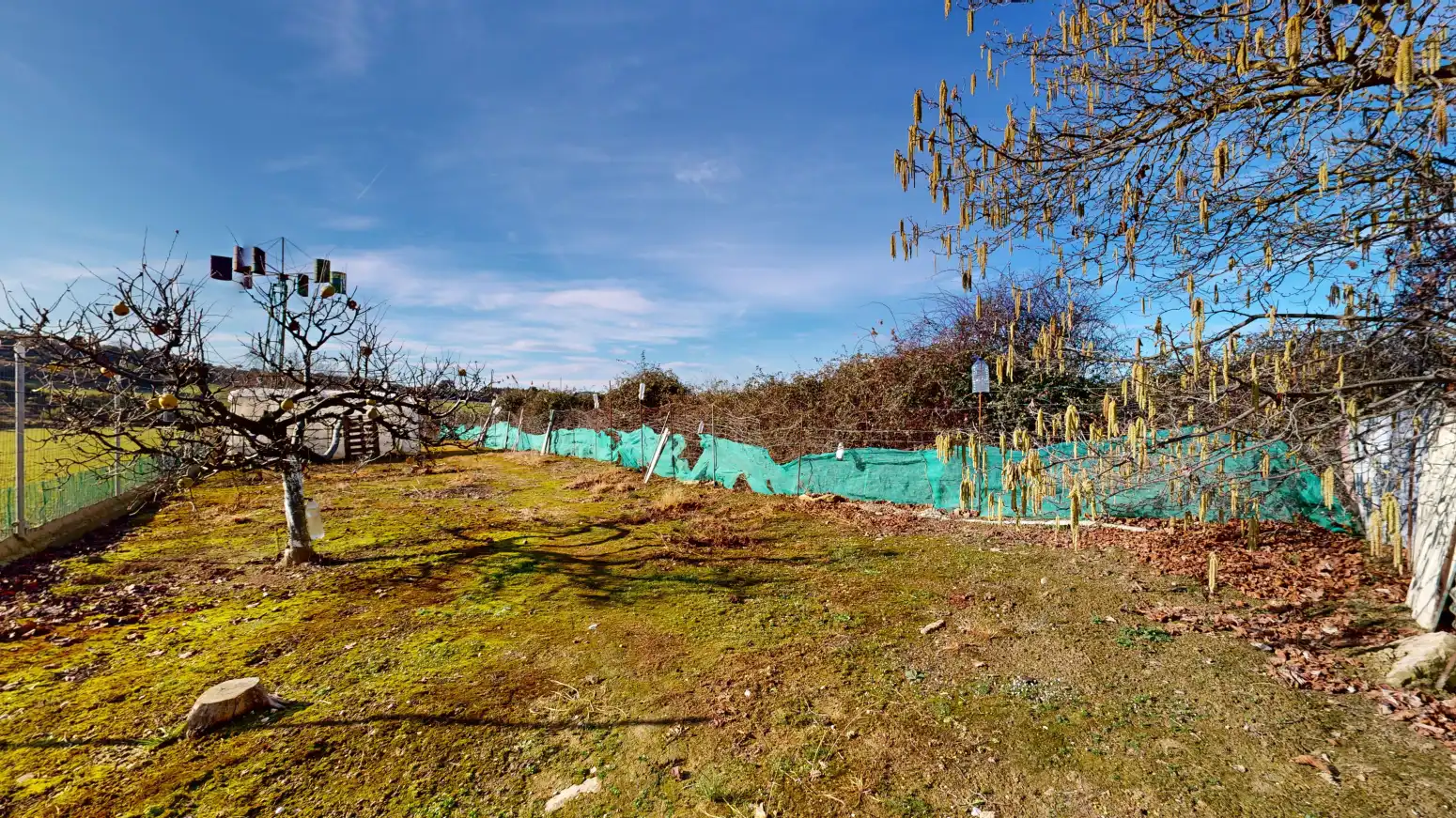 Rural land for sale in Tafalla - TERMINO JUNCAL, imagen 8