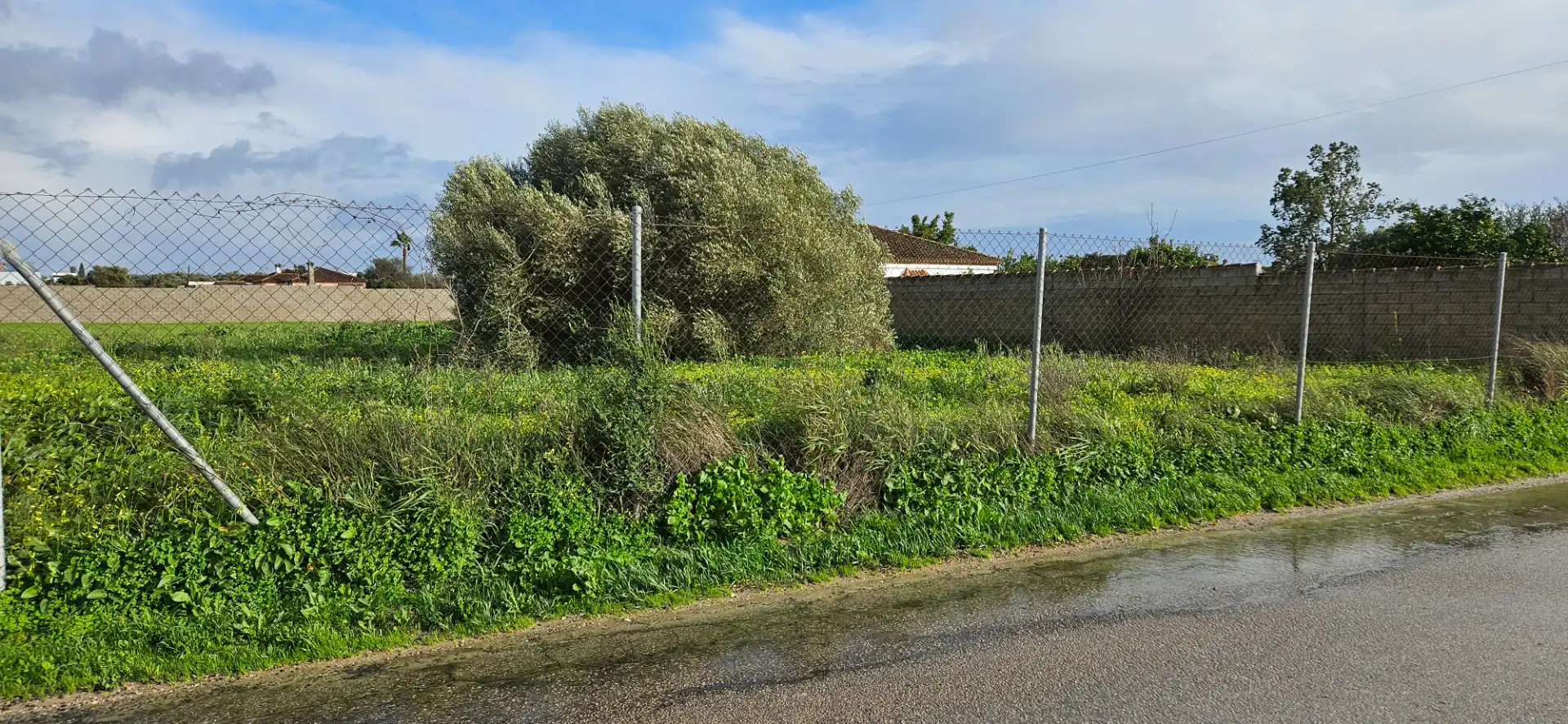 Rural land for sale in Las Lagunas - Campano, imagen 2