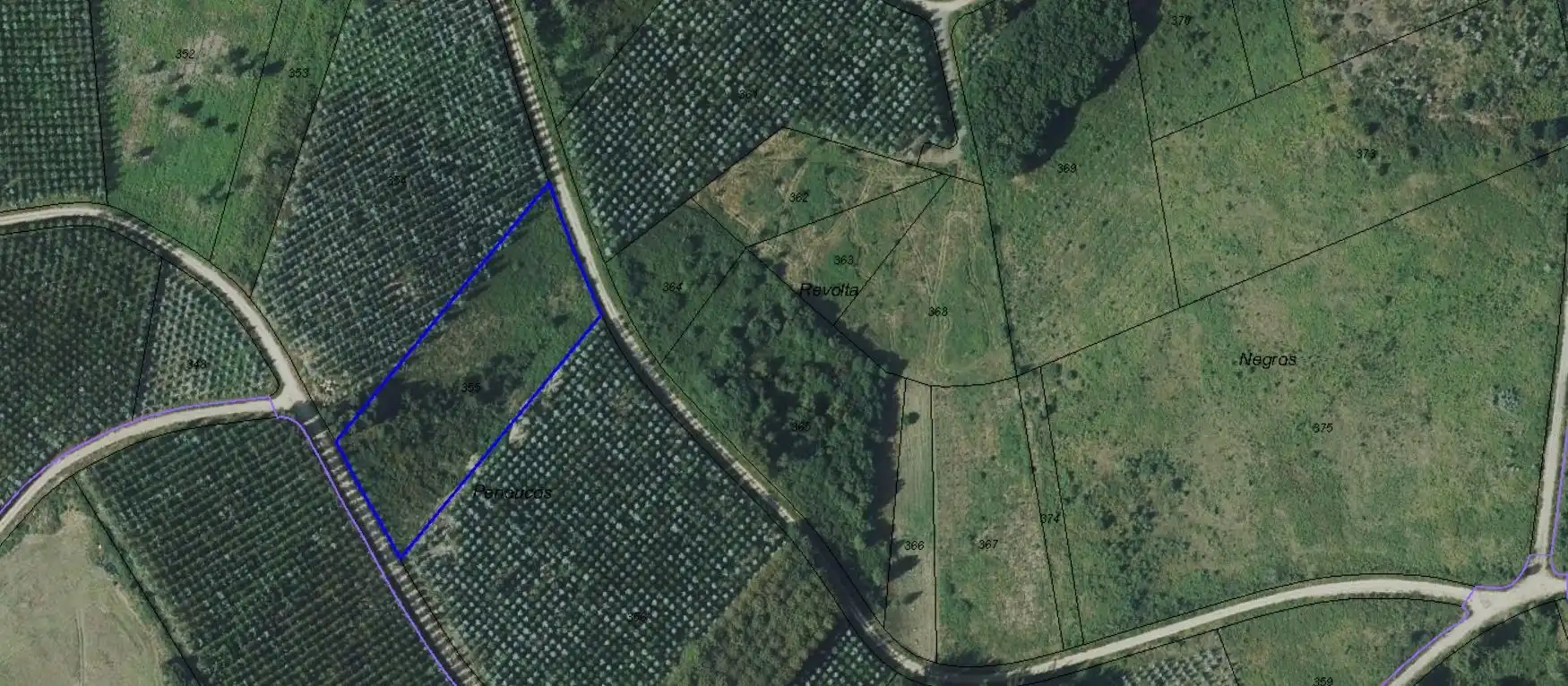 Terreno rústico en venta en Lalín, imagen 2