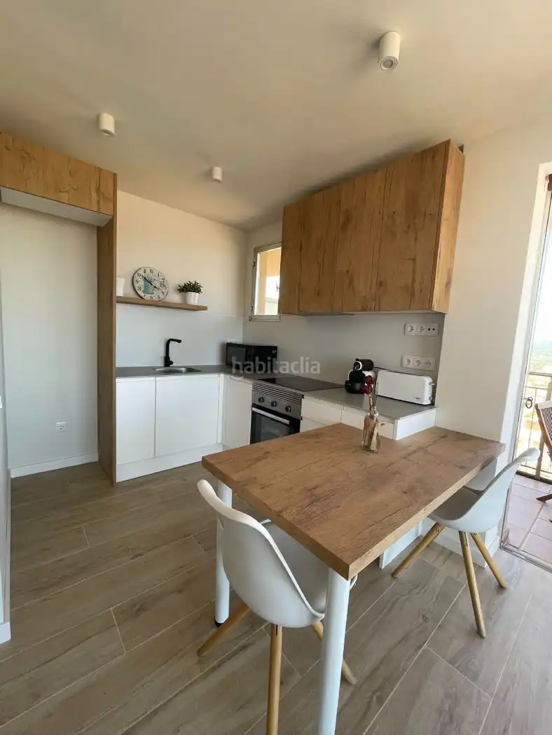 Apartament amb jardí de lloguer a Passeig del Mar 3, imagen 5