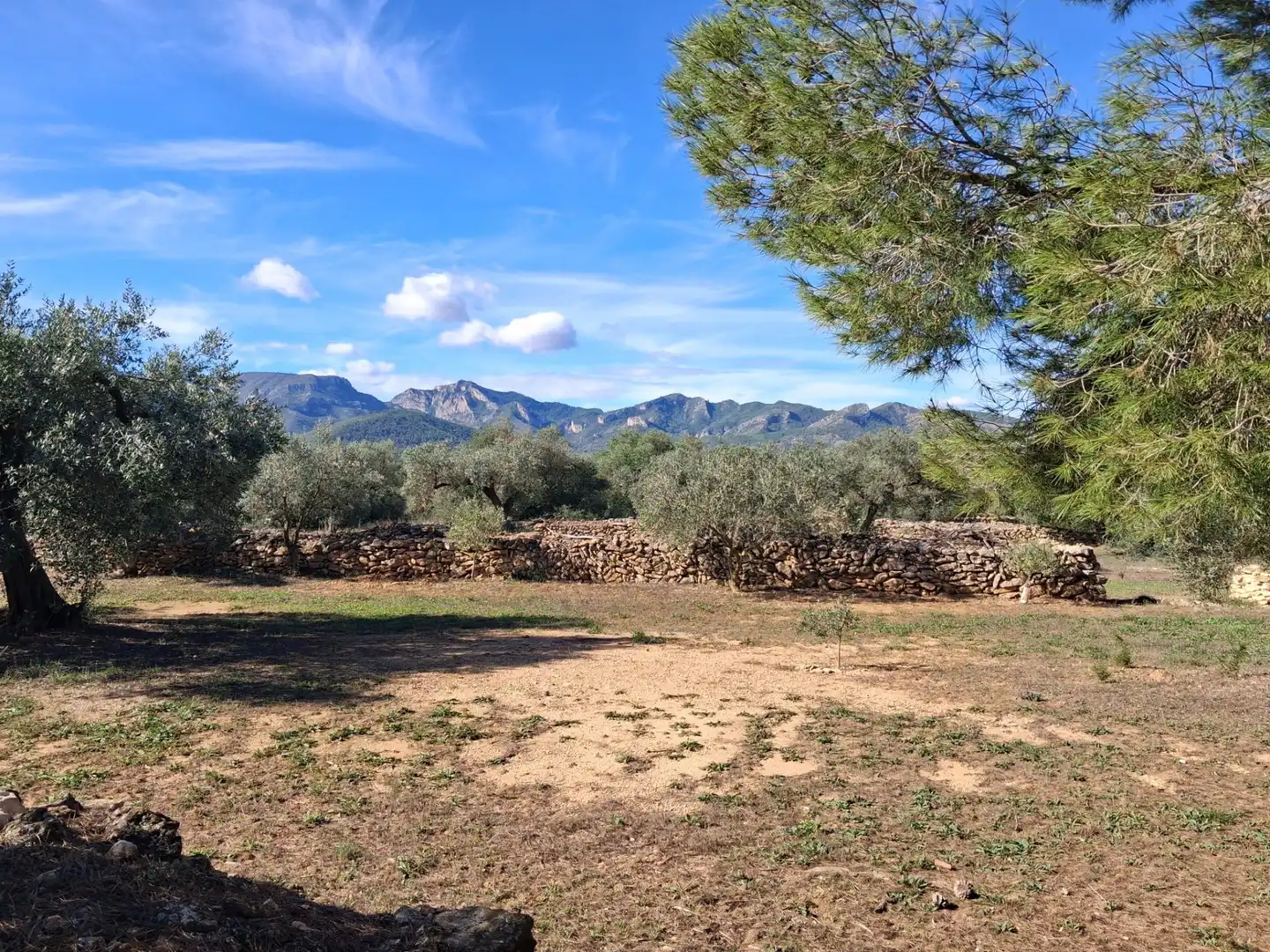 Terrain rustique à vendre à Polígono 6 Paraje 109 LAS PLANAS, imagen 36