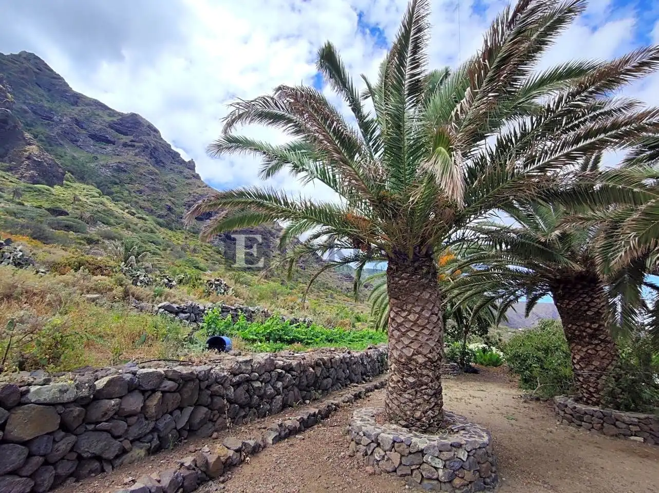 Country homes for sale in Buenavista del Norte