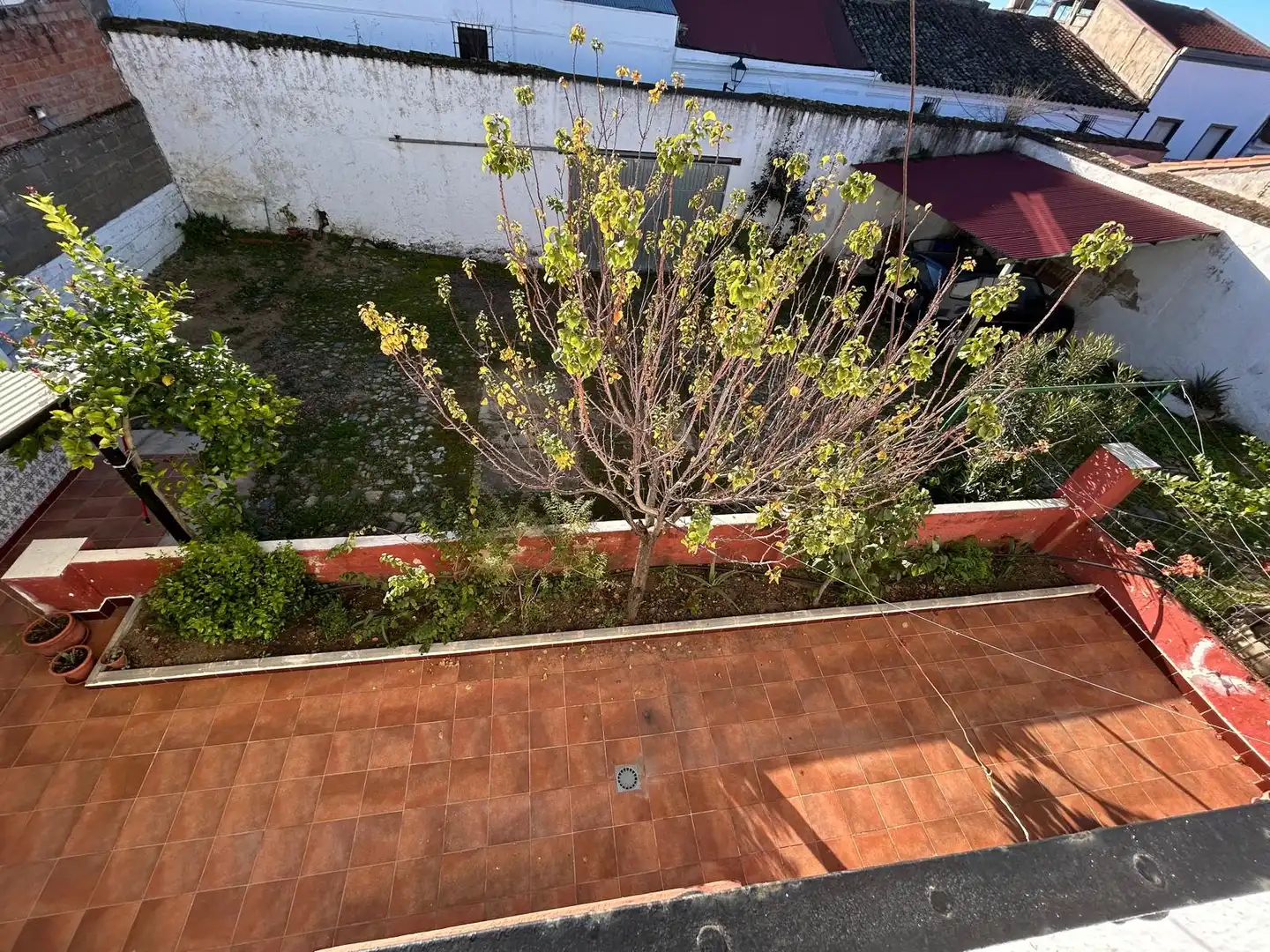 Finca rústica en venda a Calle Médico Terrón, 21, Barcarrota