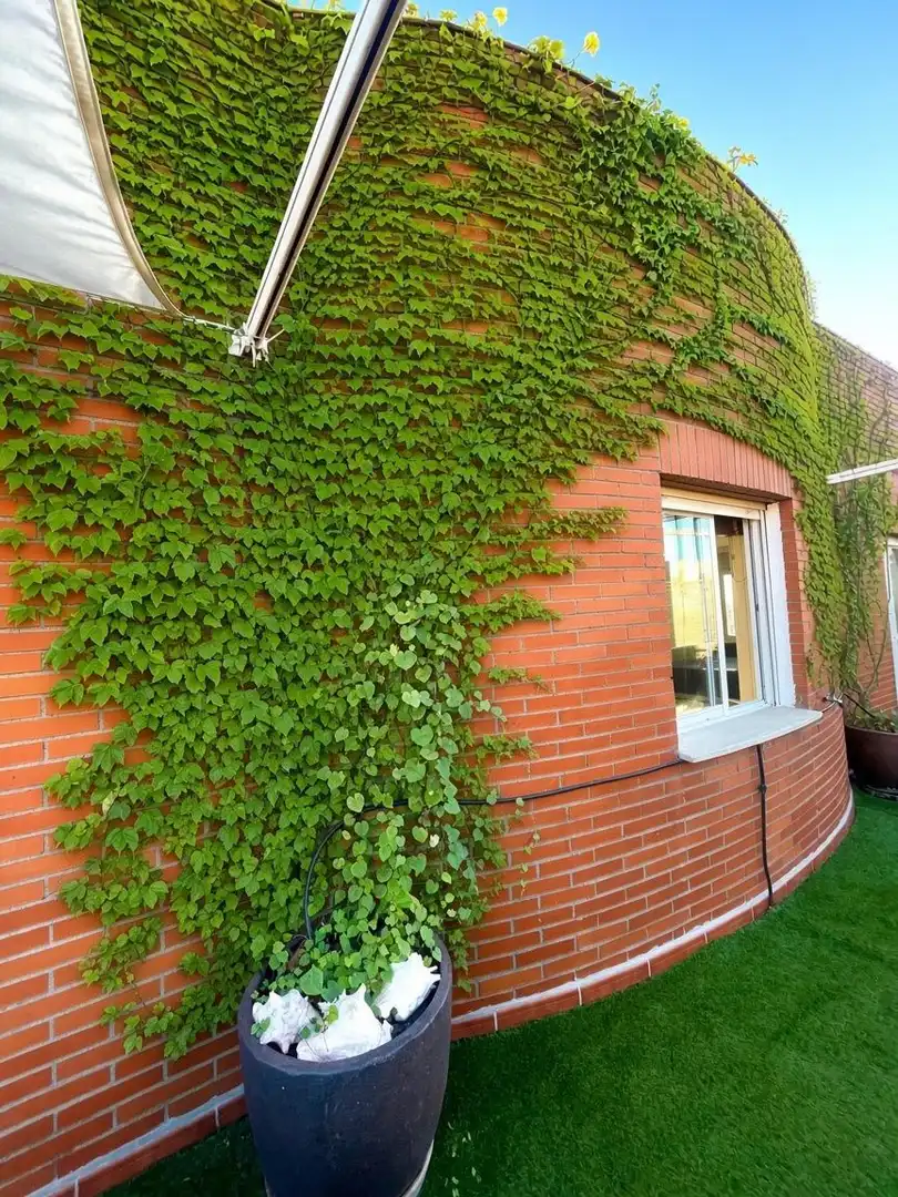 Exterior view of Duplexes for sale in Villafontana - Estoril I