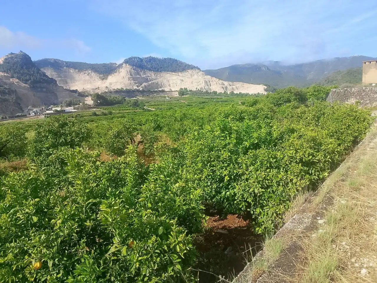Land for sale in L'Atzúbia