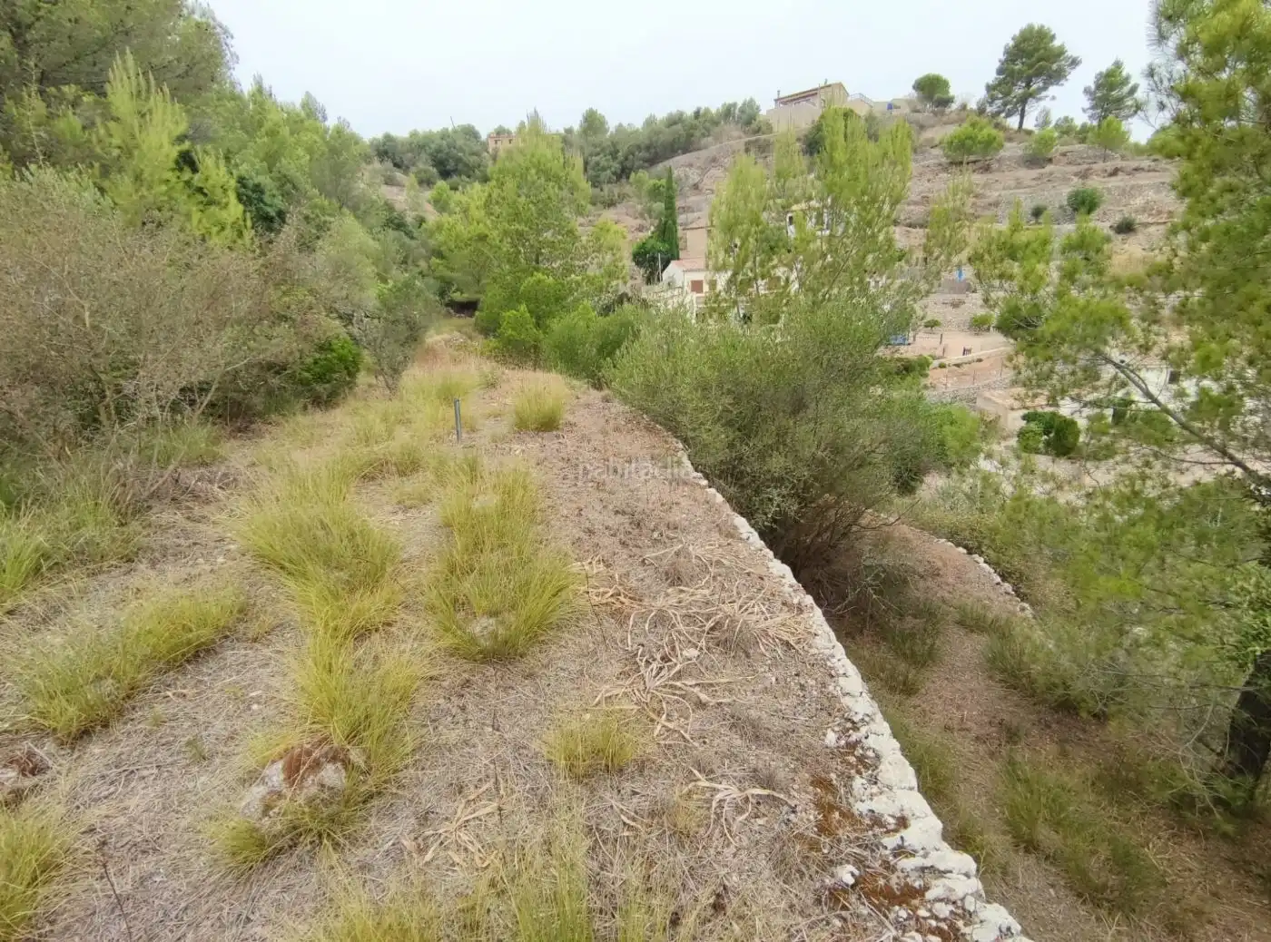 Terreny residencial en venda a Camí Comellar de ses Olibes 6, imagen 6