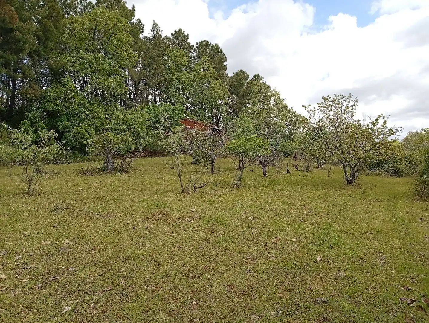Terreni e lotti in vendita a Villanueva de la Vera