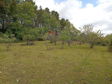 Terreno rustico in vendita a Villanueva de la Vera