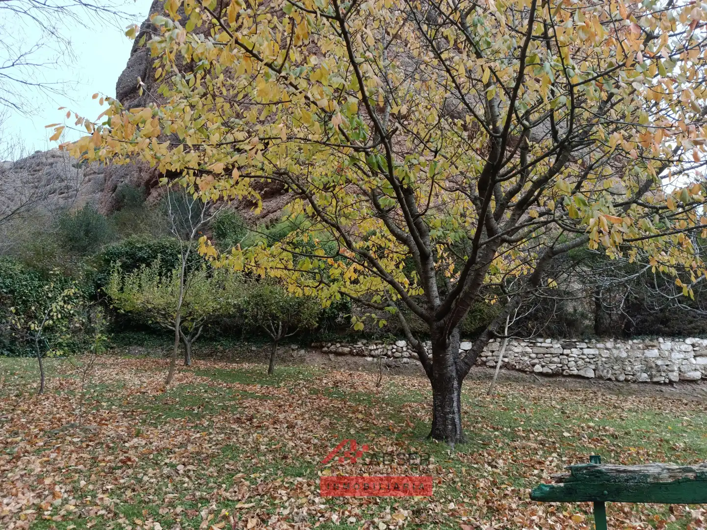 Garden of Houses for sale in Nalda  with Private garden, Storage room and Swimming Pool