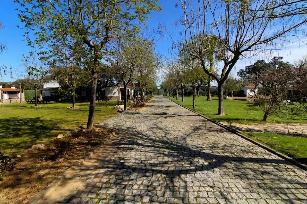 Casa con piscina en venta en Carretera de Sevilla - Los Montitos, imagen 37