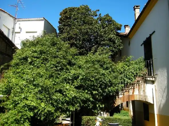 Xalet en venda a Jerte, imagen 2