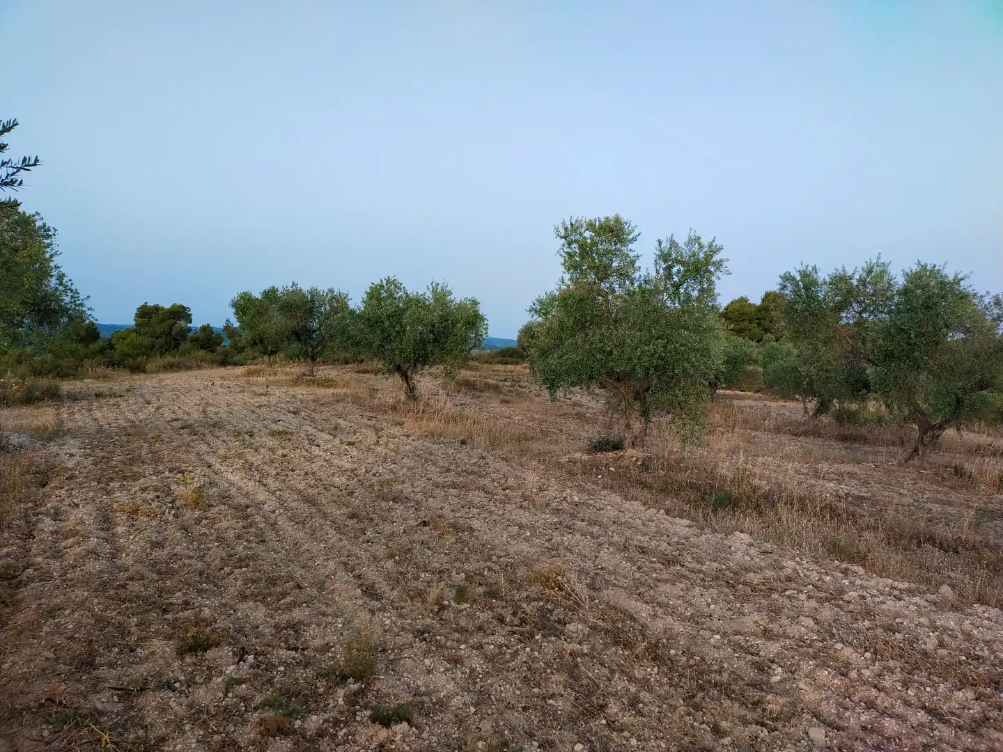 Terreno rústico en venta en Cervià de Les Garrigues, imagen 21