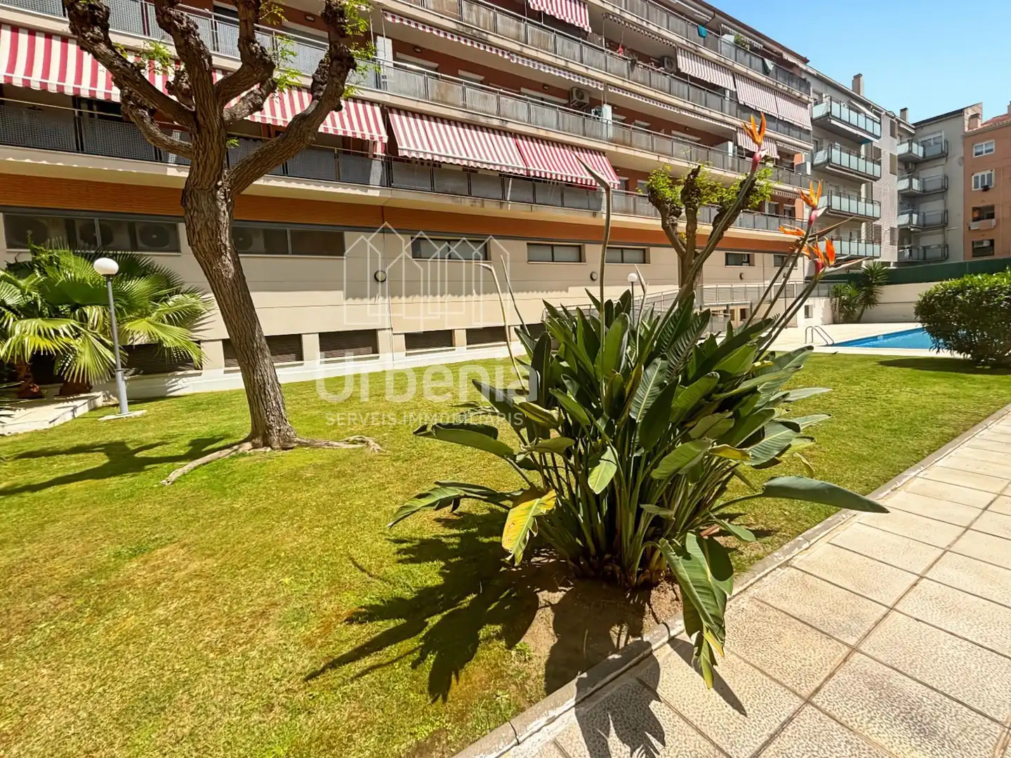 Vista exterior de Dúplex en venda en Calella amb Calefacció, Terrassa i Piscina