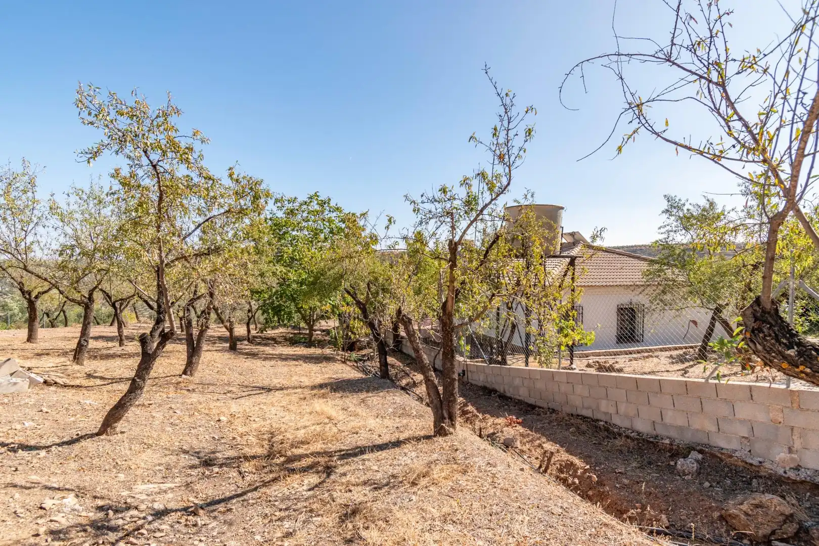 Finca rústica en venta en Vereda morollon, La Peza