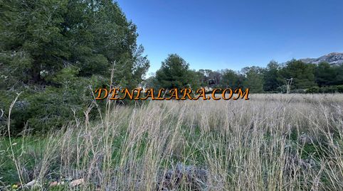 Parcela rústica en venta en Dénia – 1.550 m² con vistas al Montgó, imatge 4