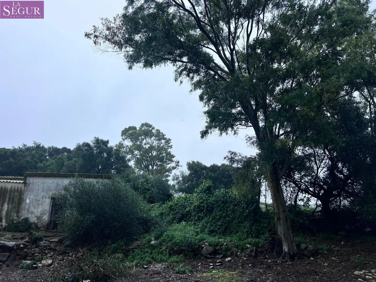 Finca rústica en venda en Vejer de la Frontera amb Jardí privat