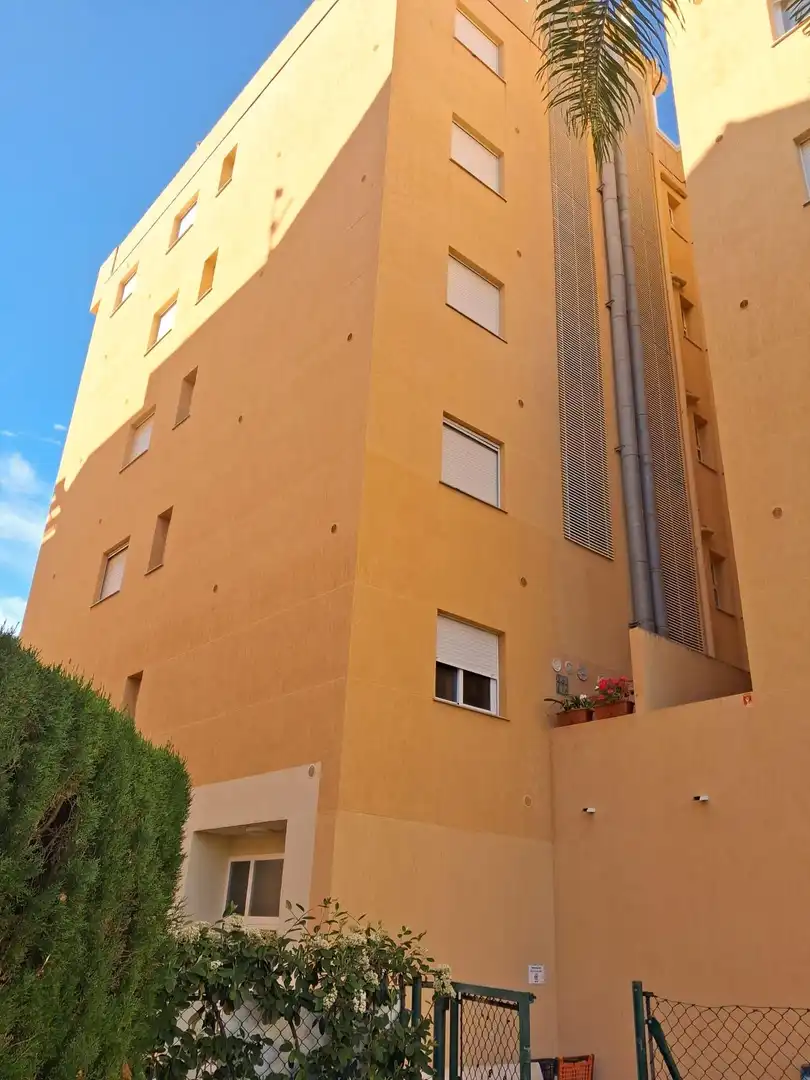 Vista exterior de Àtic en venda en Guardamar de la Safor amb Aire condicionat, Jardí privat i Terrassa