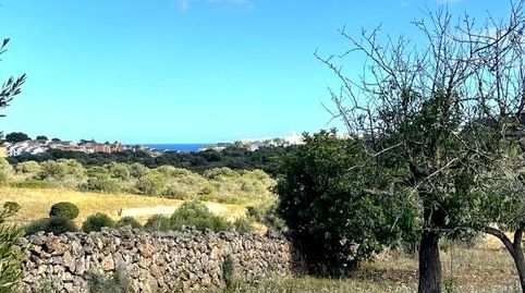 Photo 5 of Residential for sale in Ma-4014, Manacor Centre, Manacor