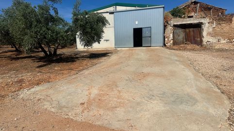Finca de olivar en Jaén con riego, naves y cosecha, imatge 3