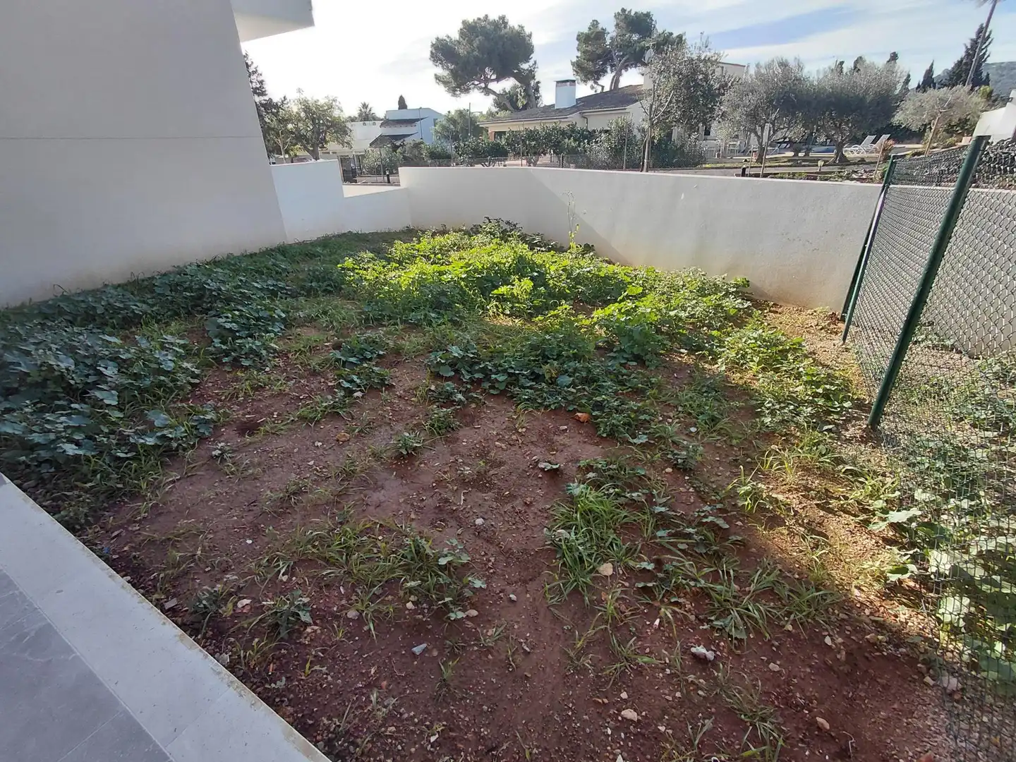 Bajo con jardín en venta en Calle Pintor Miquel Vives, imagen 20