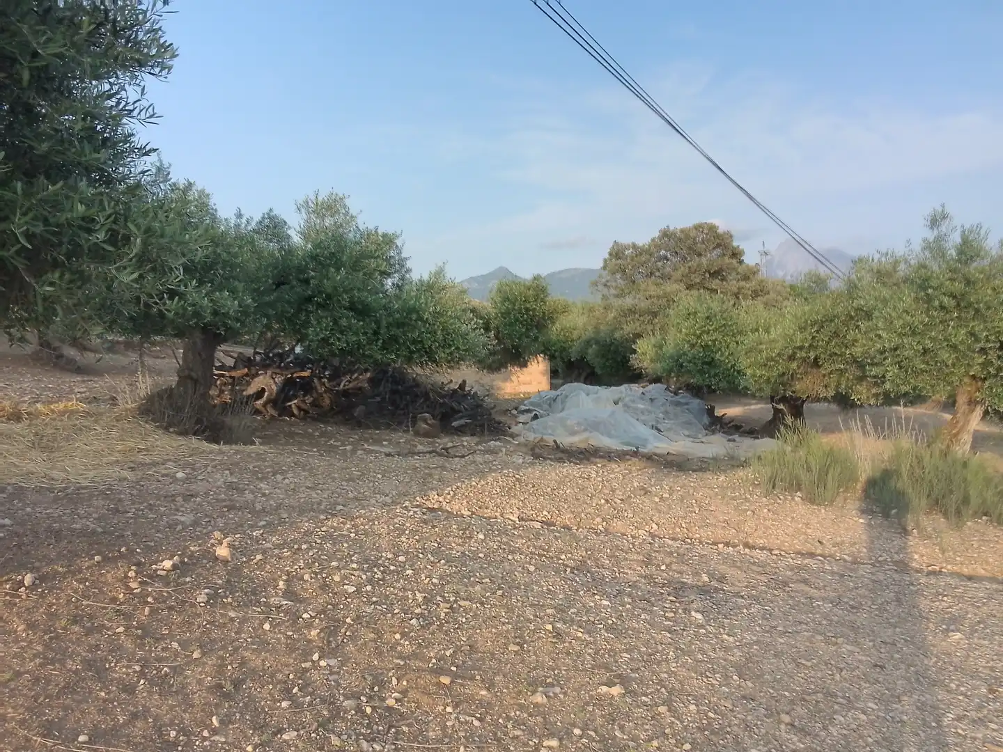 Terreno rústico en venta en Villamartín, imagen 23