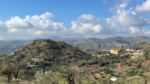 Photo 4 of Land for sale in Zona Poligono 32 Parcela 664 Paraje de Castillejo, 32, El Cortijuelo, Málaga